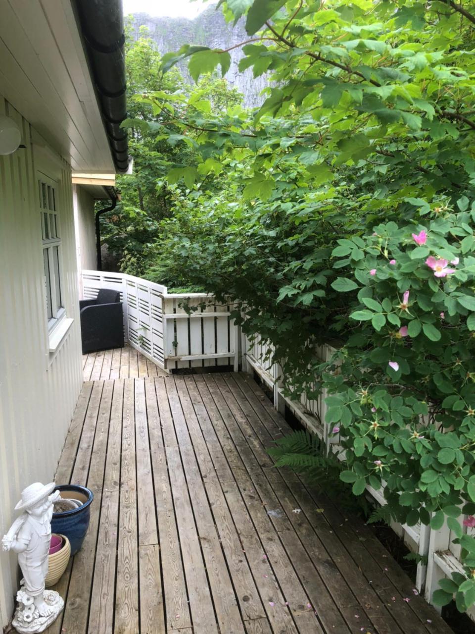 Dragon Villa 레이네 외부 사진